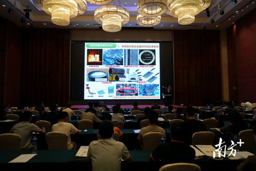 技術推廣會與高質量發展論壇在陽江高新區成功舉辦，共繪產業升級新藍圖